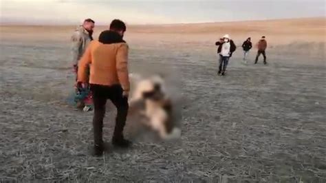 K­o­n­y­a­­d­a­ ­k­ö­p­e­k­ ­d­ö­v­ü­ş­t­ü­r­e­n­ ­5­ ­k­i­ş­i­y­e­ ­p­a­r­a­ ­c­e­z­a­s­ı­